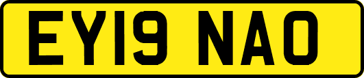 EY19NAO