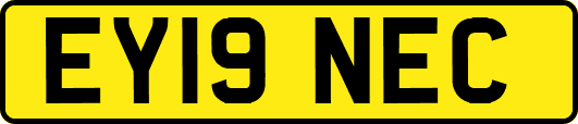 EY19NEC