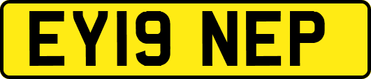 EY19NEP