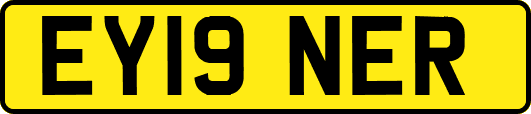 EY19NER