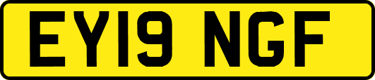 EY19NGF