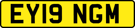 EY19NGM