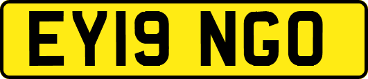 EY19NGO