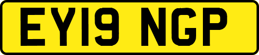EY19NGP