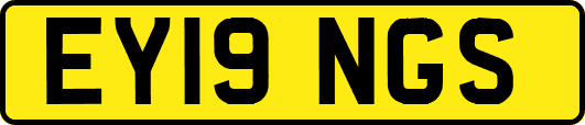 EY19NGS