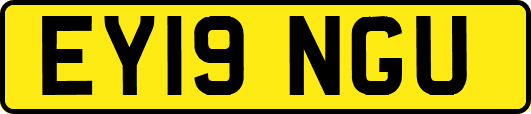 EY19NGU