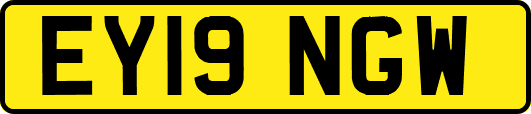 EY19NGW