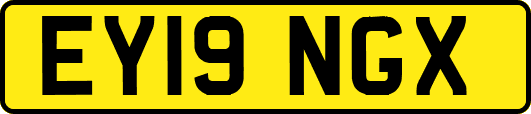EY19NGX