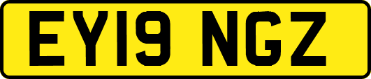 EY19NGZ