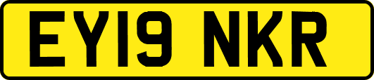 EY19NKR