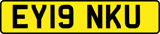 EY19NKU