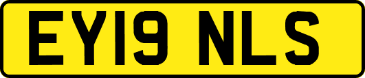 EY19NLS