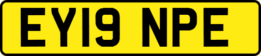 EY19NPE