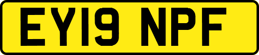 EY19NPF