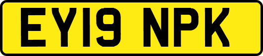 EY19NPK