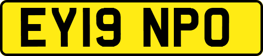 EY19NPO