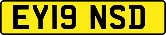 EY19NSD