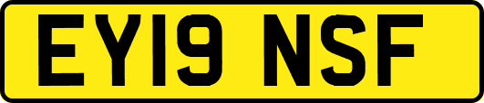 EY19NSF