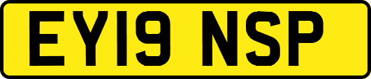 EY19NSP