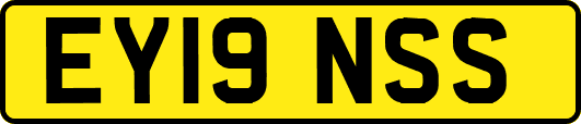 EY19NSS
