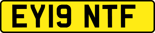EY19NTF