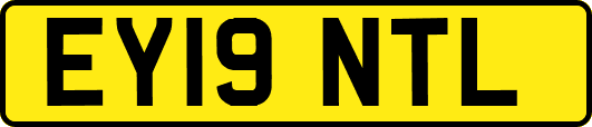 EY19NTL