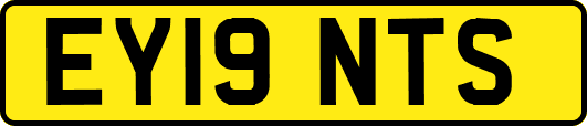 EY19NTS