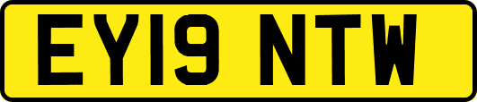 EY19NTW