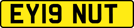 EY19NUT