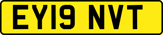 EY19NVT