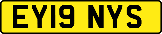 EY19NYS