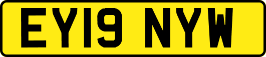 EY19NYW