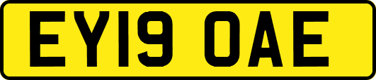 EY19OAE