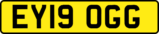EY19OGG