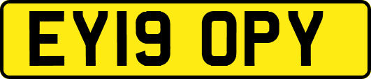 EY19OPY