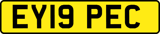 EY19PEC