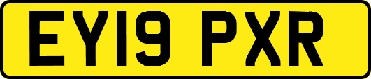 EY19PXR
