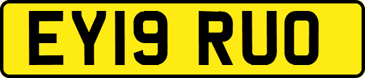 EY19RUO
