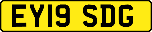 EY19SDG