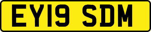 EY19SDM