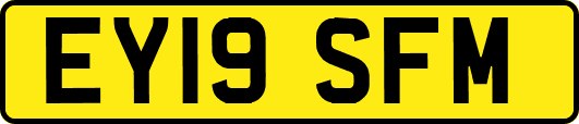 EY19SFM