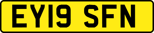 EY19SFN