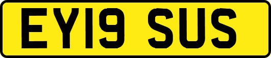 EY19SUS