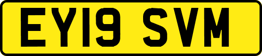 EY19SVM