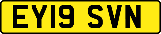 EY19SVN