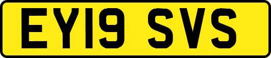 EY19SVS
