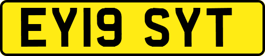 EY19SYT