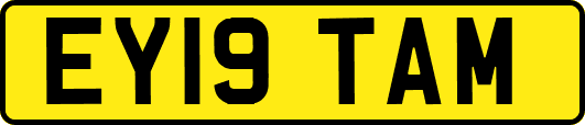 EY19TAM