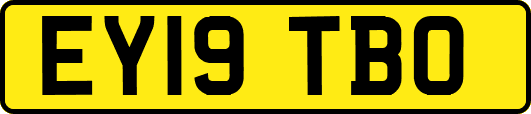 EY19TBO