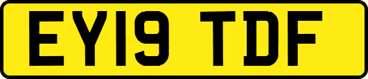 EY19TDF